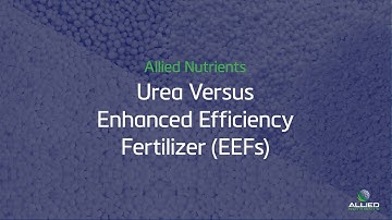 Urea VS. Enhanced Efficiency Fertilizers (EEFs) | Understanding EEFs
