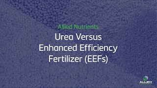 Famous Urea VS. Enhanced Efficiency Fertilizers (EEFs) | Understanding EEFs Net Worth