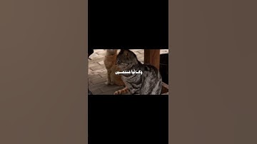 القارئ: محمد  صديق المنشاوي سورة:الزخرف [الآية-68]