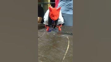 SmallKat being adorable at Hackaday Supercon