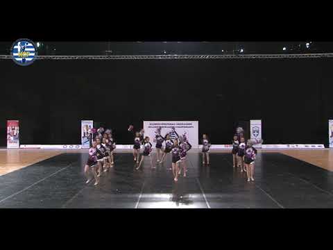 55 JUNIOR TEAM