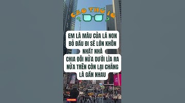 Câu Đố Vui Nhộn 3: Thử Thách Tư Duy Logic Của Bạn p53 | Cao Thủ IQ #funny #dovui #giaitri #haihuoc