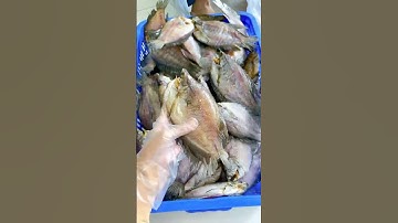 khô cá sặc bổi Cà Mau ngon #amthuc #food #dacsancamau #khocasacboi