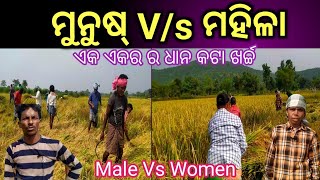 ଧାନ କଟା ରେ ମୁନୁଷ Vs ମହିଳା//ଏକ ଏକର କୁ କେତେ ଜଣ କାଟିବେ // man vs women