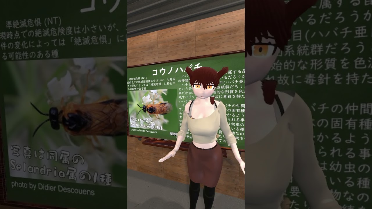 【生態学】コウノハバチ 絶滅危惧種の紹介【学術系Vtuber】