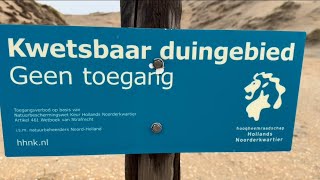 Download Lagu Gat van 70 meter in de duinen bij Castricum MP3 Download Lagu Gat van 70 meter in de duinen bij Castricum MP3