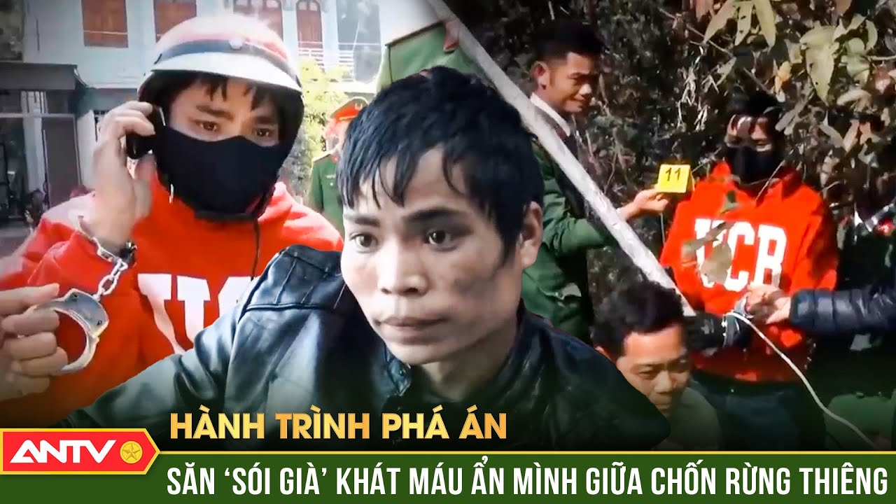 Hành trình phá án: Thần tốc truy bắt ‘sói già’ khát máu ẩn mình giữa chốn rừng thiêng | ANTV