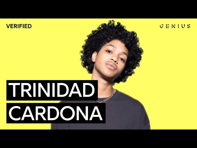 Trinidad Cardona “Dinero” Official Lyrics u0026 Meaning | Verified class=