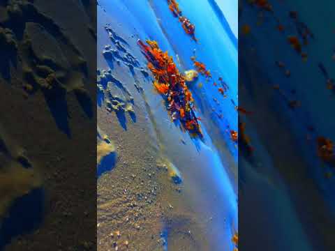 امي الحكي بيقول على حضنك الدافي انتي ربيع البيت شو صعب مشوارو تصويري رايكم اكسبلور فولو