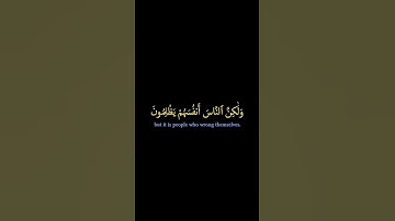 #قرآن كريم تلاوه خاشعه #المصحف #لايك #شاشه_سوداء #اكسبلور #كرومات