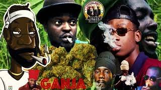 🌱 Ganja Herbs Marijuana 🌿| Weed Cannabis Reggae Ganja Songs 🌿| Justice Sound