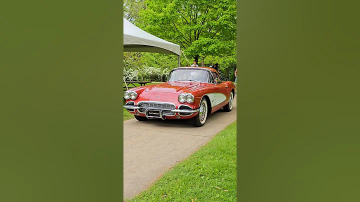 1961 Chevrolet Corvette Classic Car Drive By Engine Sound Festival of Cars Rochester MI 2025