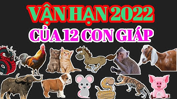 Vận Hạn Năm 2022 của Tuổi TÝ SỬU DẦN MÃO THÌN TỴ NGỌ MÙI THÂN DẬU TUẤT HỢI @Luangiai12congiap