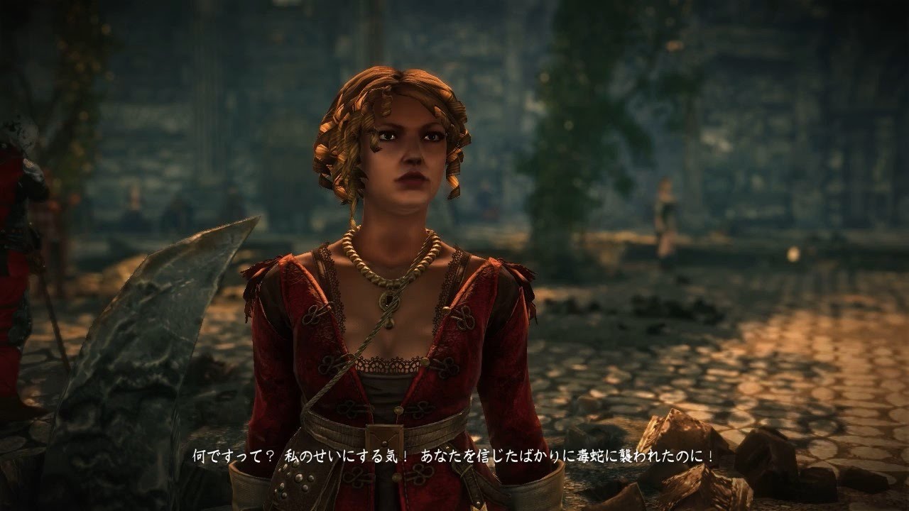 The Witcher 2 ウィッチャー2 たぶんゲーム中で一番美人のブリギッダ Brigita Youtube