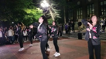 Kappa Phi Lambda Phi Chapter Stroll | Yardshow