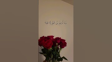 وَيَسْأَلُونَكَ عَنِ الرُّوحِ | القارئ ادريس ابكر 🌹