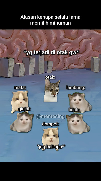 old joke😂 #meme #catmeme #cat #funnycat #fyp #viral