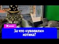 Котик Сергей из Зеленоградска стал жертвой интриг