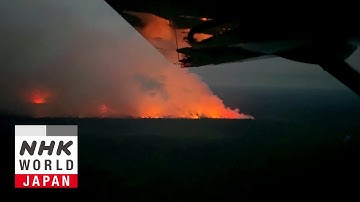 COP30 Special Edition: The Amazon Rainforest - IMPACTS: Climates Change the World