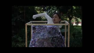 project 04 DINGDANG video