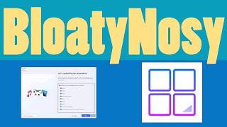 Tweak & Debloat Your Windows 11 with BloatyNosy - YouTube