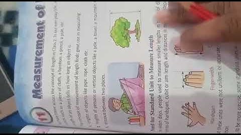 Class 3  Maths   chapter 11 exercise  42