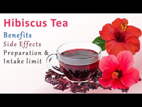فواید و عوارض چای هیبیسکوس || فواید چای هیبیسکوس برای سلامتی