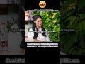 Petinggi Google Turun Tangan! Kesaksian 11 Jam yang Membela Nadiem Makarim