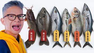 Download Lagu AKU MAKAN SEMUA JENIS IKAN!! MP3 Download Lagu AKU MAKAN SEMUA JENIS IKAN!! MP3