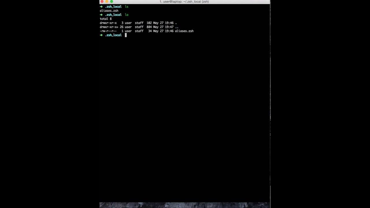 ZSH Antigen Introduction YouTube