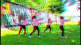 BODO AMAT BY JULIO VIO||DJ LOVE REMIX||CHOREO ZIN CHICIE