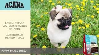 Корм для собак Acana PUPPY SMALL BREED Корм для собак Acana PUPPY SMALL BREED