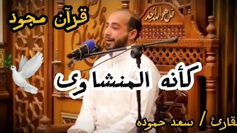 تقليد رائع للشيخ محمد صديق المنشاوي | القارئ سعد حموده | هو الله 💚