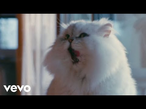 Смотреть клип Joywave - Scared