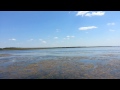 Красноперка 2015.Горький лиман.Часть 1