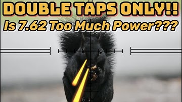 Is Double Tapping Squirrels Overkill??