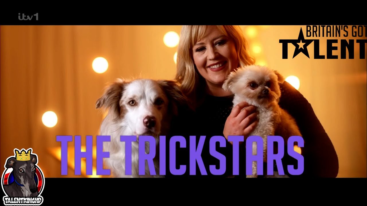 WILDCARD act The Trickstars are the Greatest Show Dogs! | The Final | BGT 2024