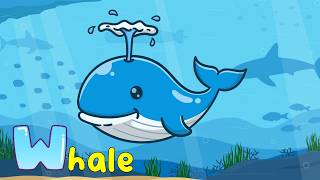 guess word v z animals more phonics game kids part 4 kidzstation