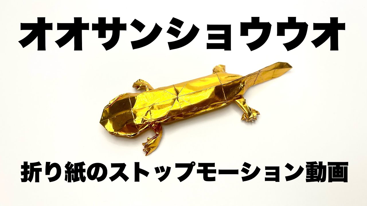 折り紙　オオサンショウウオ　 Origami giant salamander