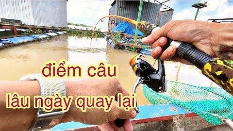 Thương vlog Câu Tôm - Trúng mánh Điểm Câu Lâu Ngày Quay lại @Xuanthuong91