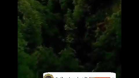 تلاوة جميلة للشيخ بندر بليلة.... حالة واتس قرآن كريم