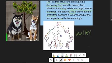 C++DP動態規劃Trie解Leetcode 難題140 wordbreak 2