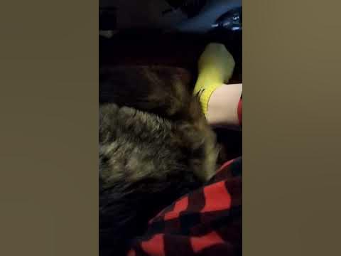 понтифик - YouTube