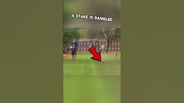 Man Beats Cheetah in RACE #shorts