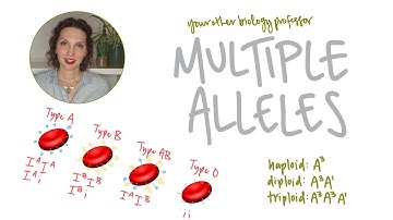 Common Mistakes with Multiple Alleles - and How to Avoid Them!