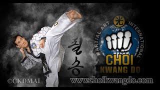 Choi Kwang Do - Ckd Style 1.1 - 2025