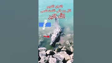 #القران_الكريم #تلاوه_خاشعه #المصحف #اكسبلور #قال رب انیی ظلمت نفسی #الشيخ محمود الشحات #foryou