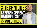 3 techniques seo pour amliorer le rfrencement naturel de son site wordpress 