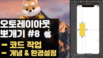 취준생을 위한 아이폰 앱개발 오토레이아웃 코드작업 fundamental Tutorial (2020) - ios autolayout programmatically, preview