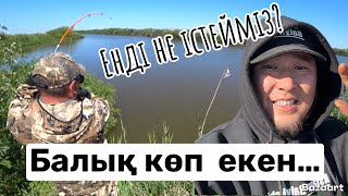 видео: Балық  өте көп керегін қуырдық Жазғы балық аулау Киік жылқылар керемет демалыс! картинка: Балық  өте көп керегін қуырдық Жазғы балық аулау Киік жылқылар керемет демалыс!